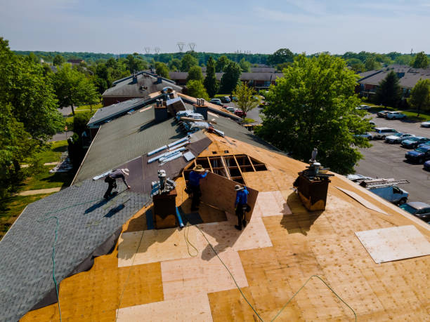 Best Roof Maintenance Services  in Belgium, WI