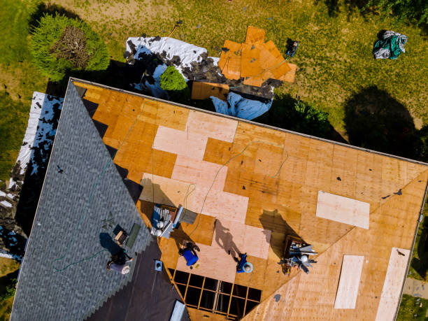 Best Roof Replacement Cost  in Belgium, WI