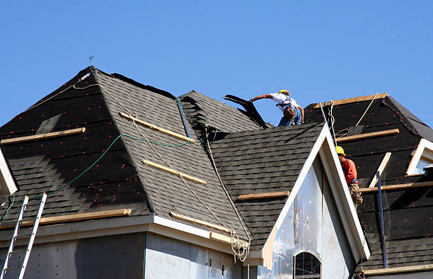 Best Roof Leak Repair  in Belgium, WI
