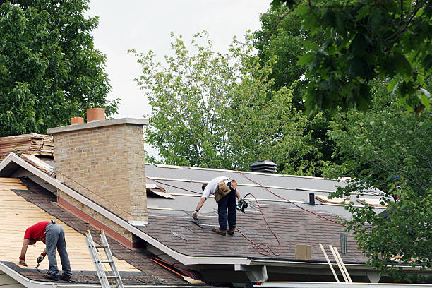 Best Roof Gutter Cleaning  in Belgium, WI