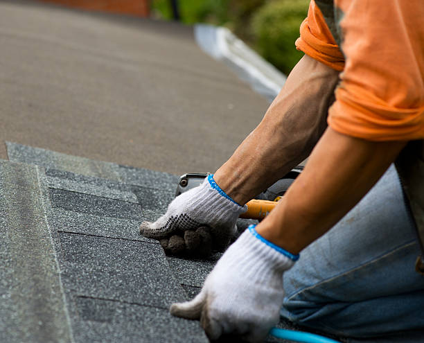 Best Metal Roofing Contractor  in Belgium, WI