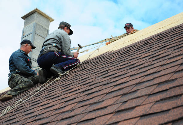Best Local Roofing Companies  in Belgium, WI